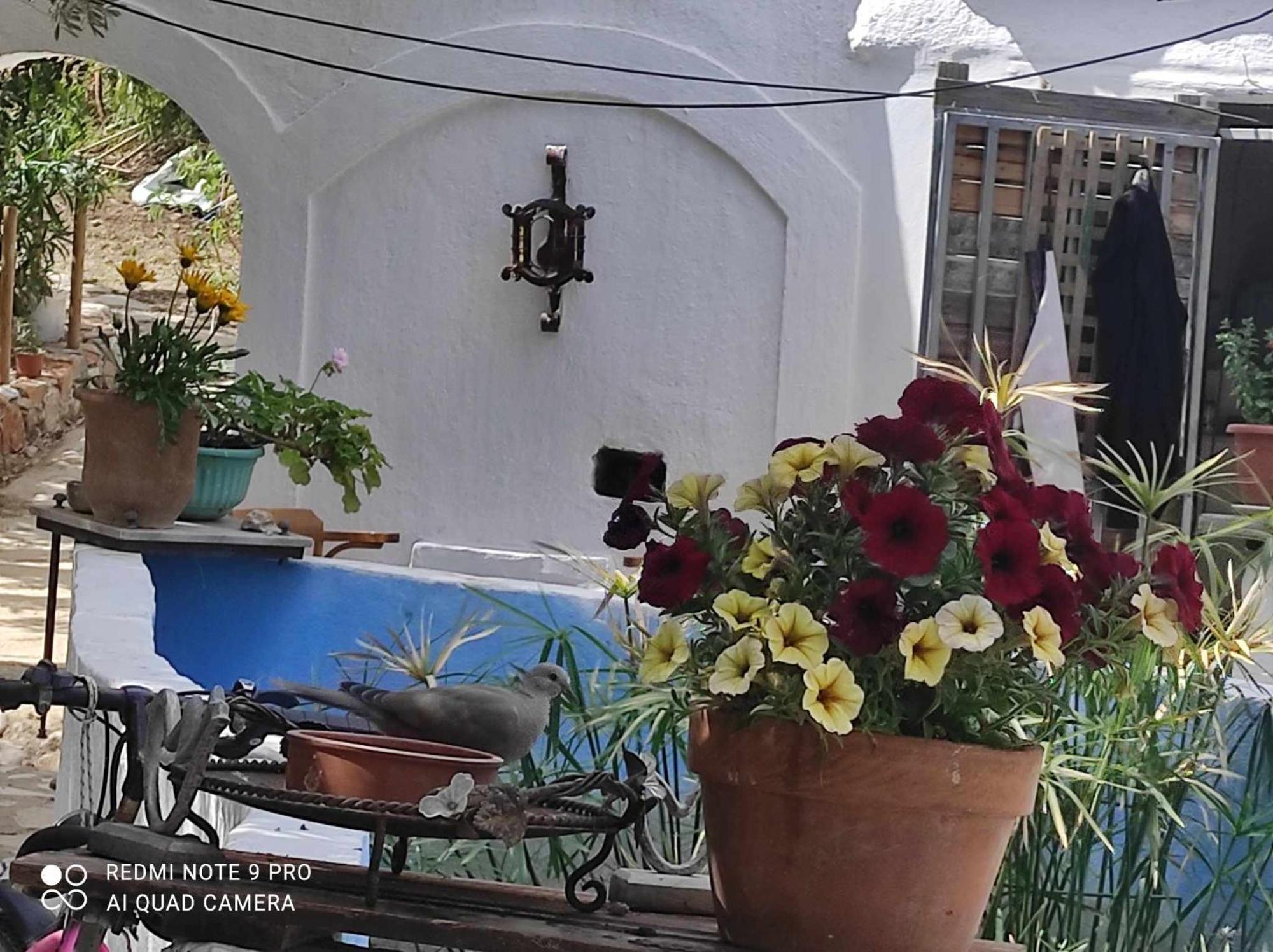 Palaiokastro  Gabriellas Garden מראה חיצוני תמונה