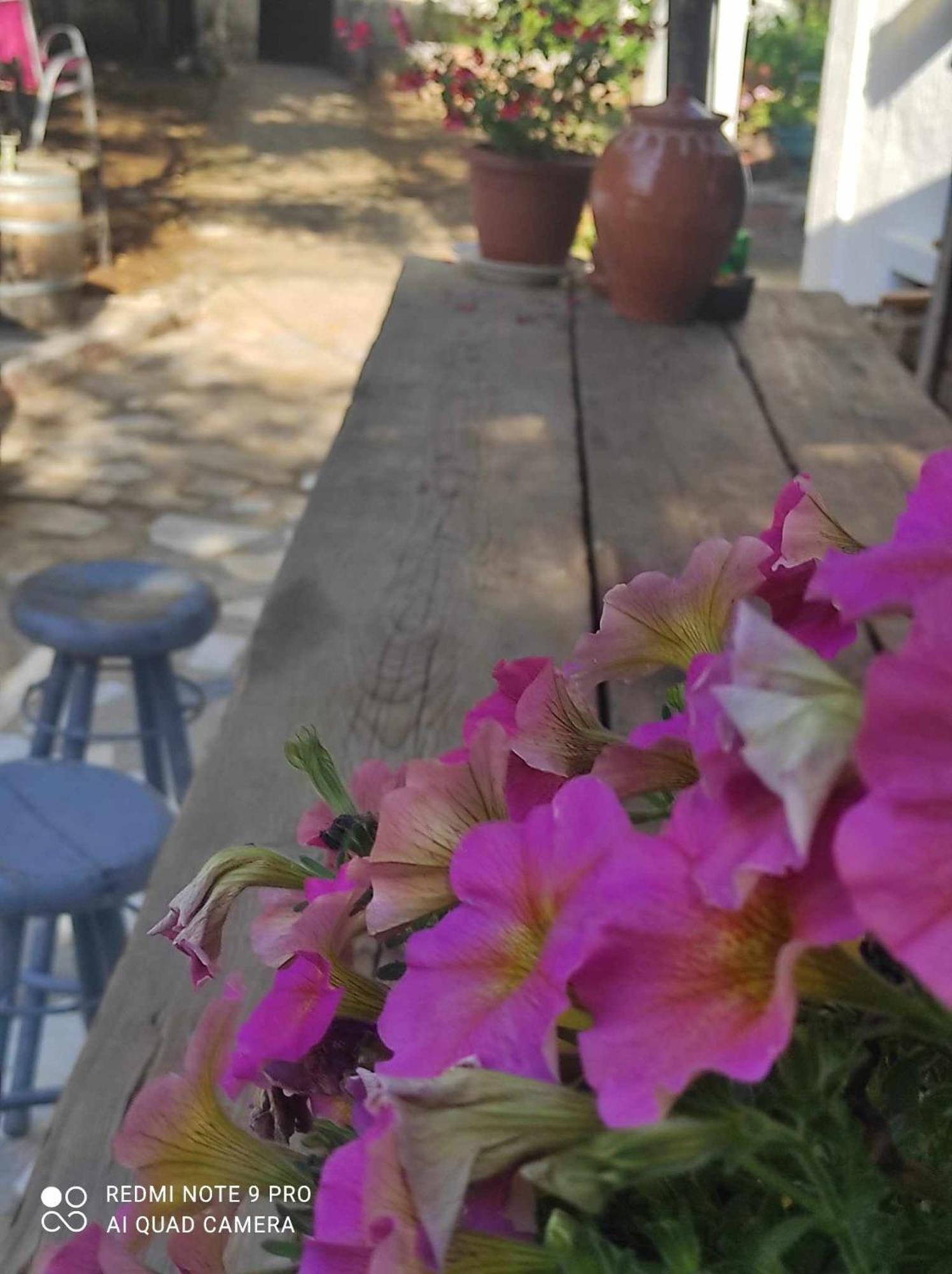 Palaiokastro  Gabriellas Garden מראה חיצוני תמונה